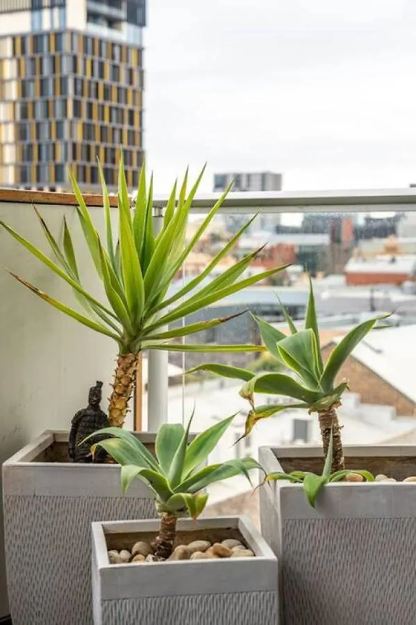 Apartmán Get Comfy On Frew St Adelaide